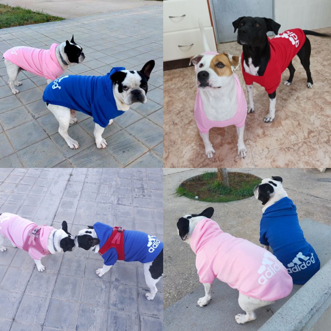 ADIDOG┃HOODIE PARA PERROS