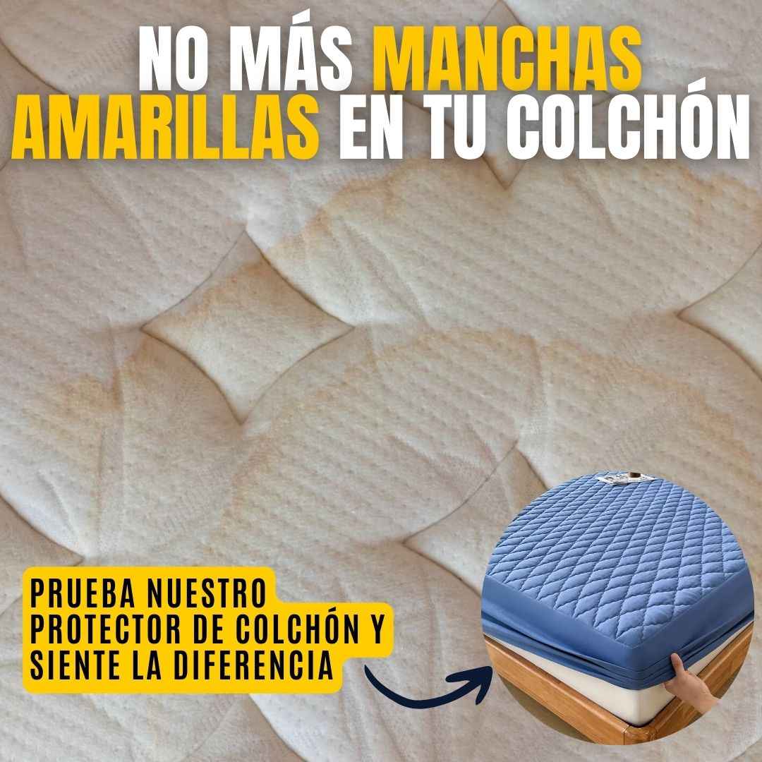 BedCover™ : Protector de colchón antifluidos | ¡Premiados como los mejores protectores del mercado!