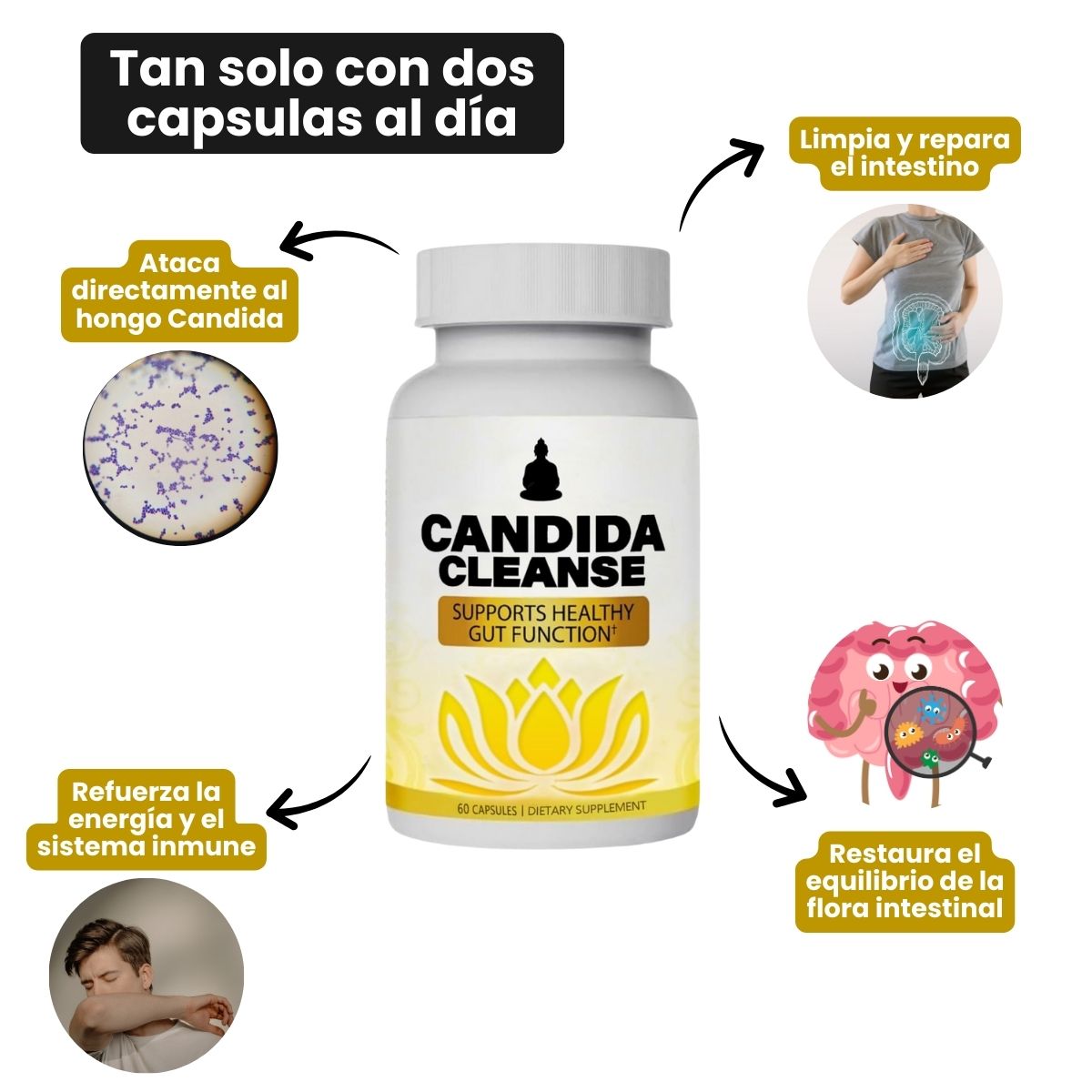 Candida Cleanse: Limpieza digestiva 100% Natural