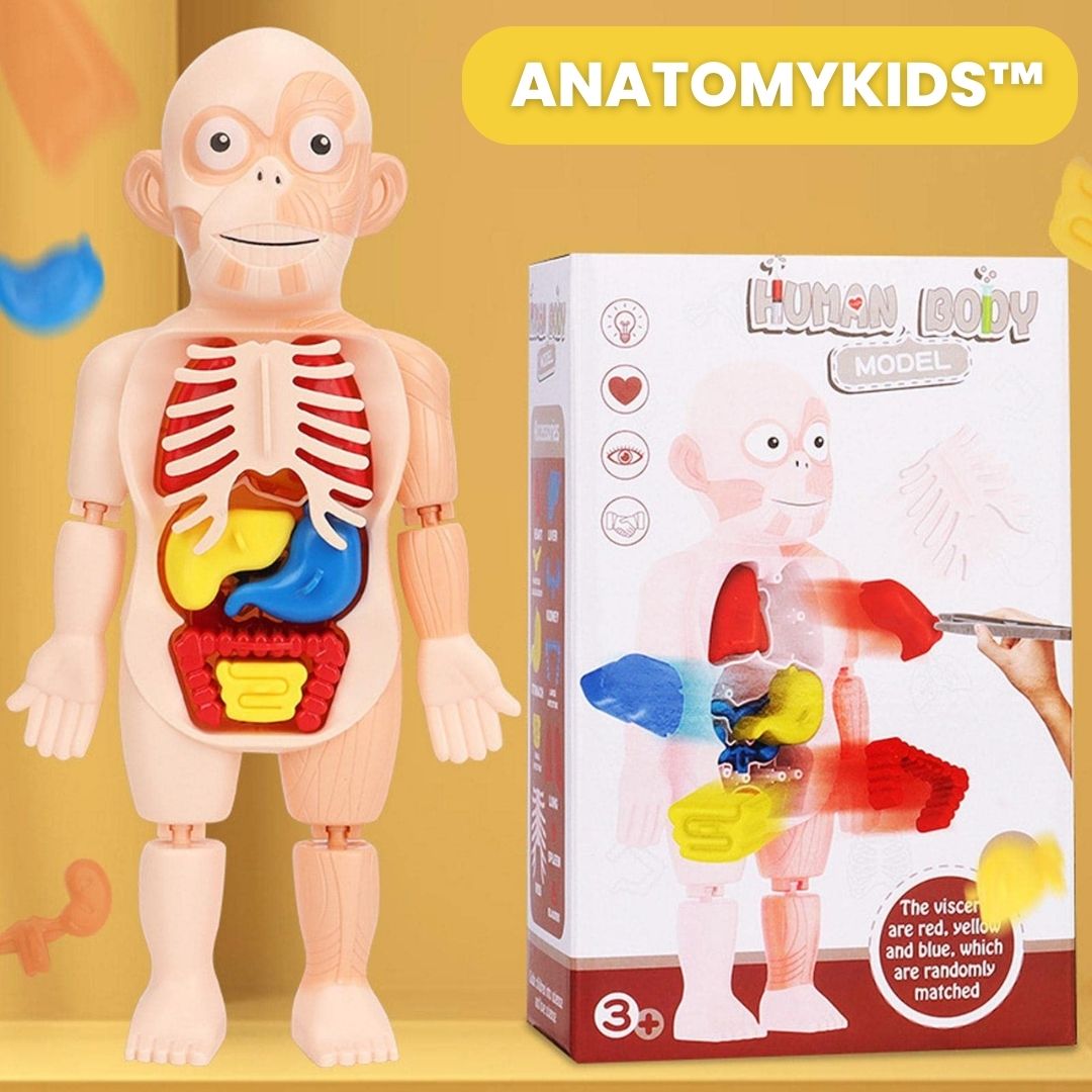 ANATOMYKIDS™: JUEGO INTERACTIVO ANATOMIA HUMANA