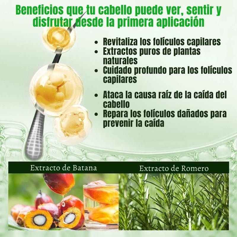 Gypsophila™: Champú de aceite de Batana y aceite de Romero
