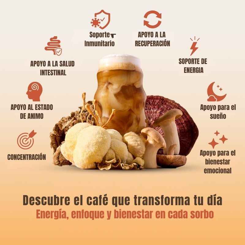 Kit Ryze Mushroom Coffee
