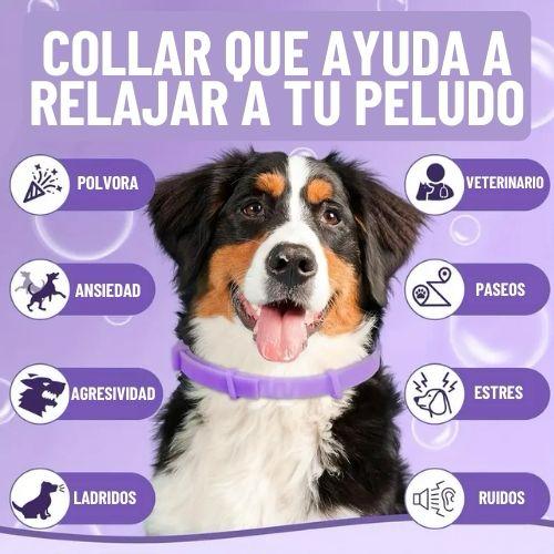 CALMPET™: COLLAR CALMANTE MASCOTAS | PAZ INMEDIATA PARA TU PELUDO