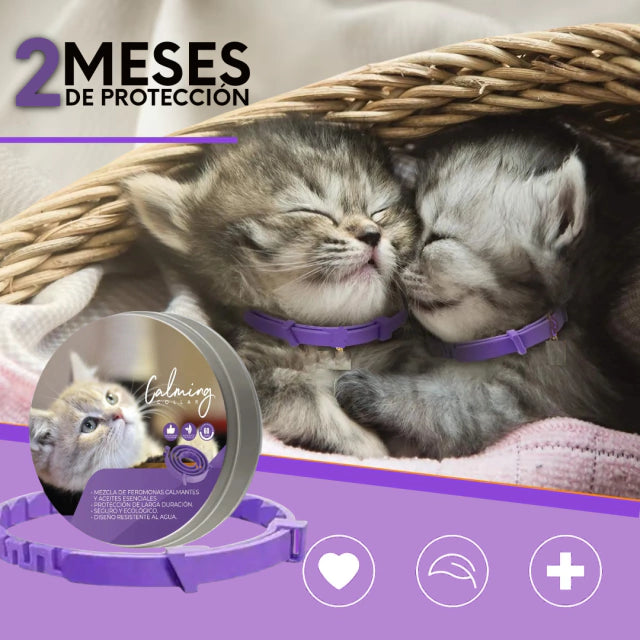 CALMPET™: COLLAR CALMANTE MASCOTAS | PAZ INMEDIATA PARA TU PELUDO