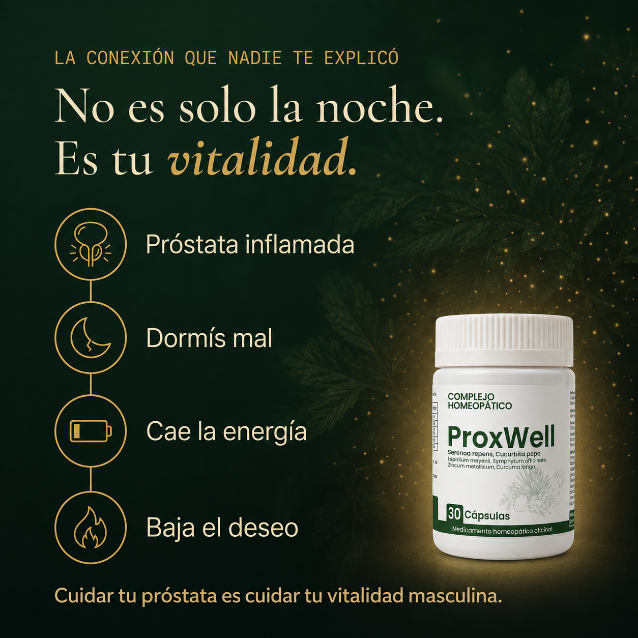 Suplemento para la salud de la próstata