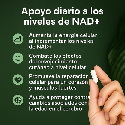 Cata-Kor: NAD+ Advanced + Resveratrol