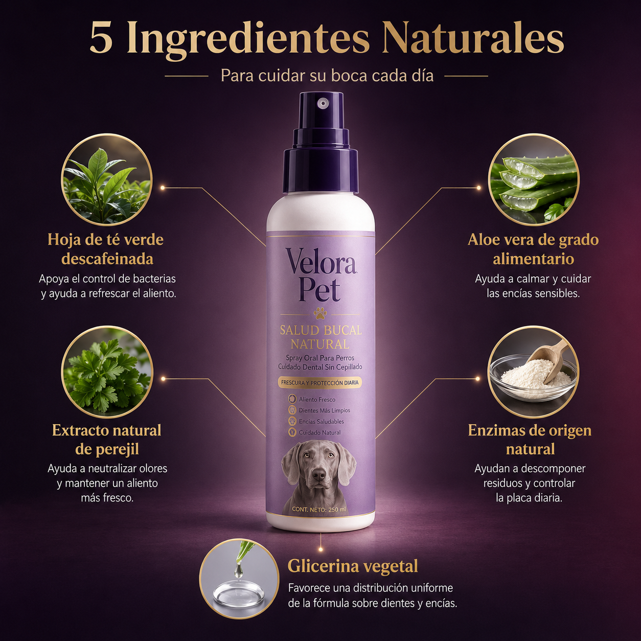 Spray dental para perros sin anestesia ni cepillado