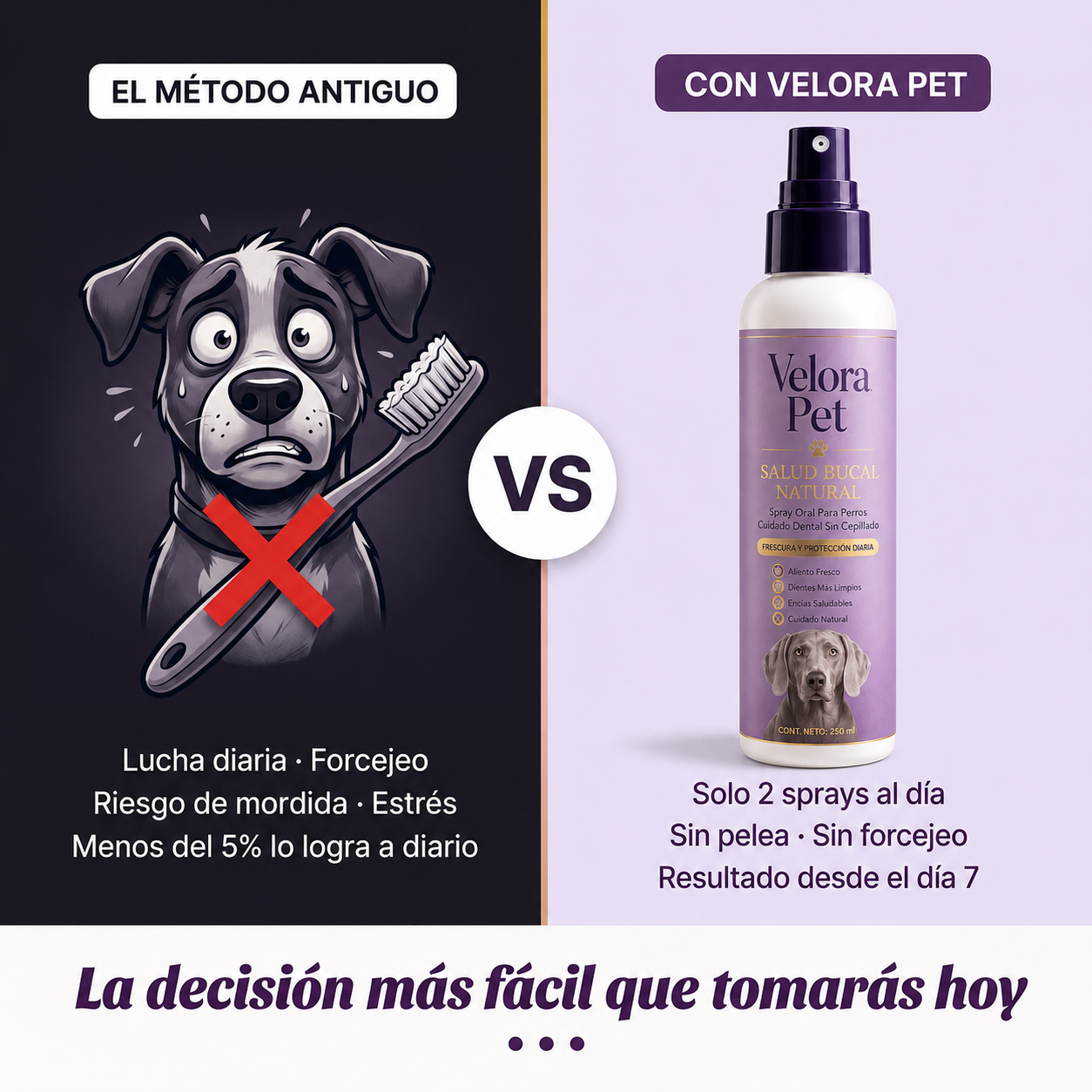 Spray dental para perros sin anestesia ni cepillado
