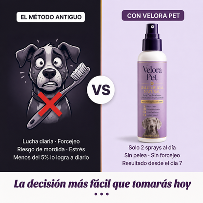 Spray dental para perros sin anestesia ni cepillado