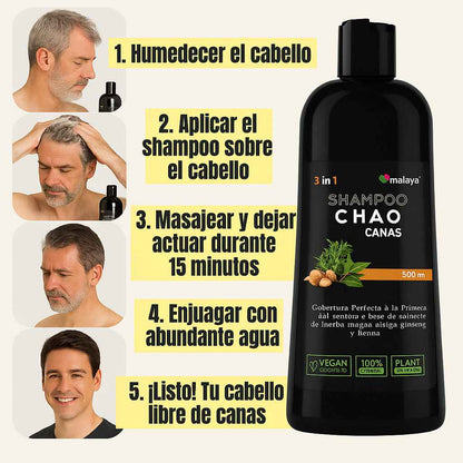 Shampoo Chao Canas+ 3 Regalos🎁