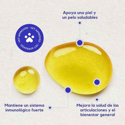 Omega Max 3X™: Aceite de pescado de triple fuente para perros