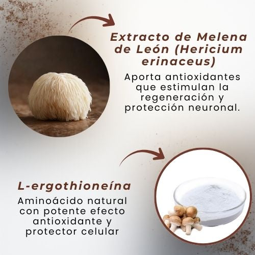 Capsulas Melena de León con L-Ergotioneína 8,400 mg | 120 Capsulas