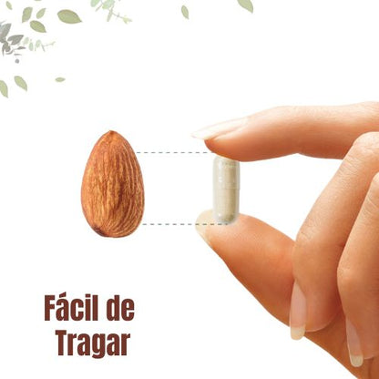 Capsulas Melena de León con L-Ergotioneína 8,400 mg | 120 Capsulas