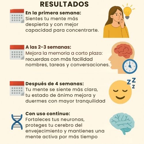 Capsulas Melena de León con L-Ergotioneína 8,400 mg | 120 Capsulas