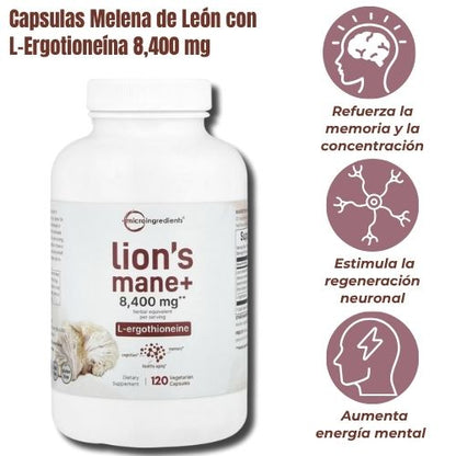 Capsulas Melena de León con L-Ergotioneína 8,400 mg | 120 Capsulas