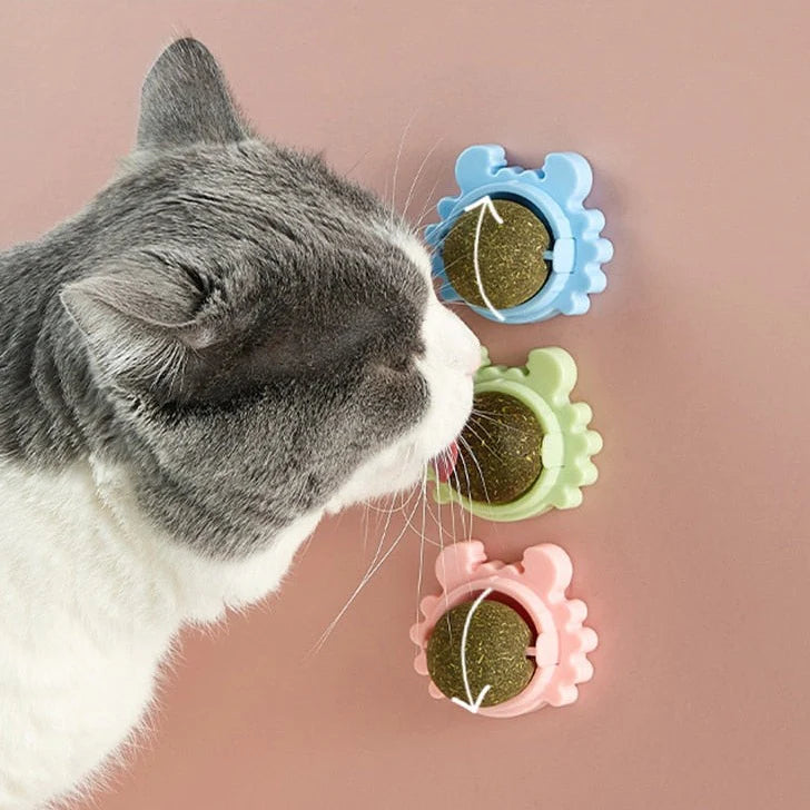 Catball® Bola de menta para gatos