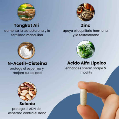 Preggo™: Vuelve a dominar tu masculinidad y energía