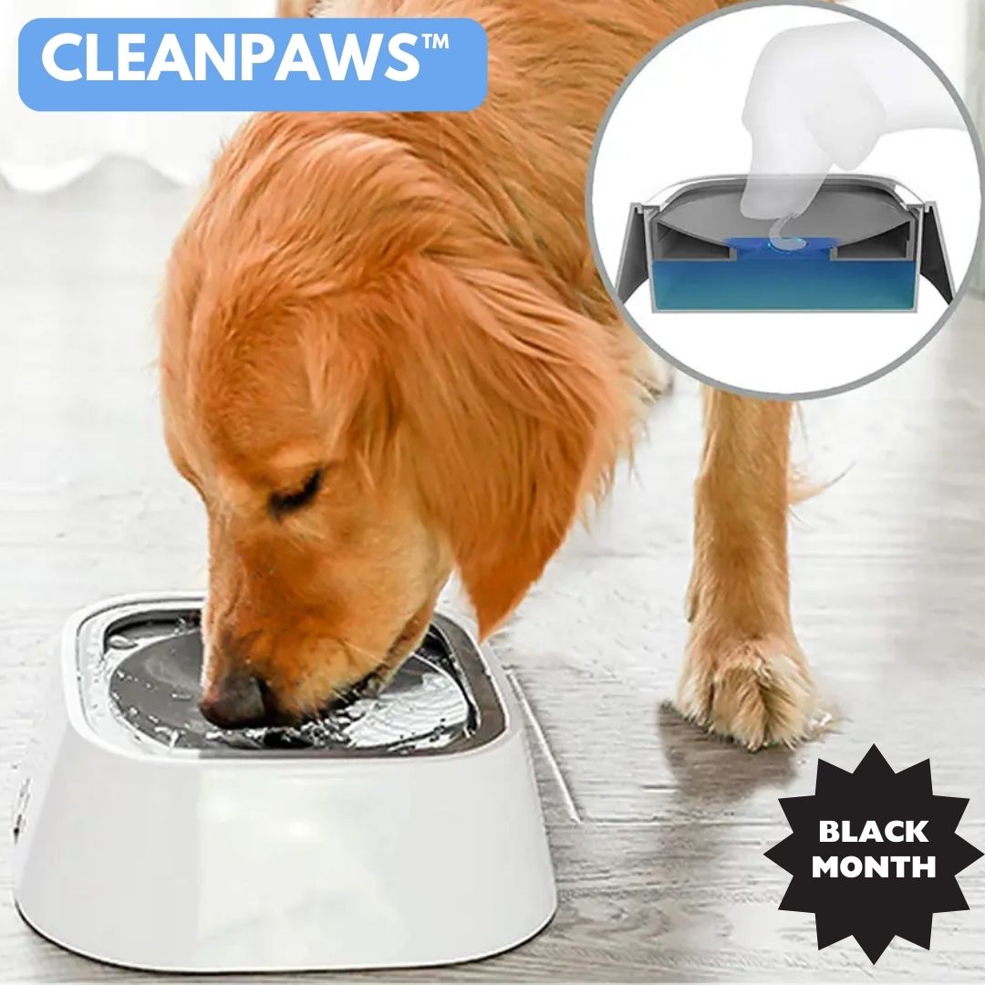 CLEANPAWS™: BEBEDERO ANTIDERRAME PARA PERROS | BLACK MONTH 🔥