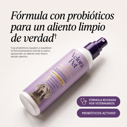 Spray dental para perros sin anestesia ni cepillado